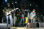 The Wailers